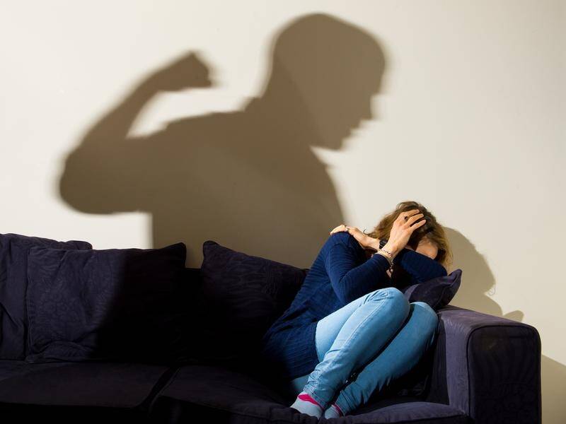 Domestic violence dropped in NSW between 2008 and 2016, according to the latest crime statistics.