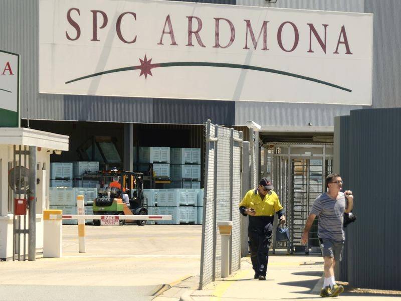The Victorian government is confident in the future of the SPC Ardmona factory in Shepparton.