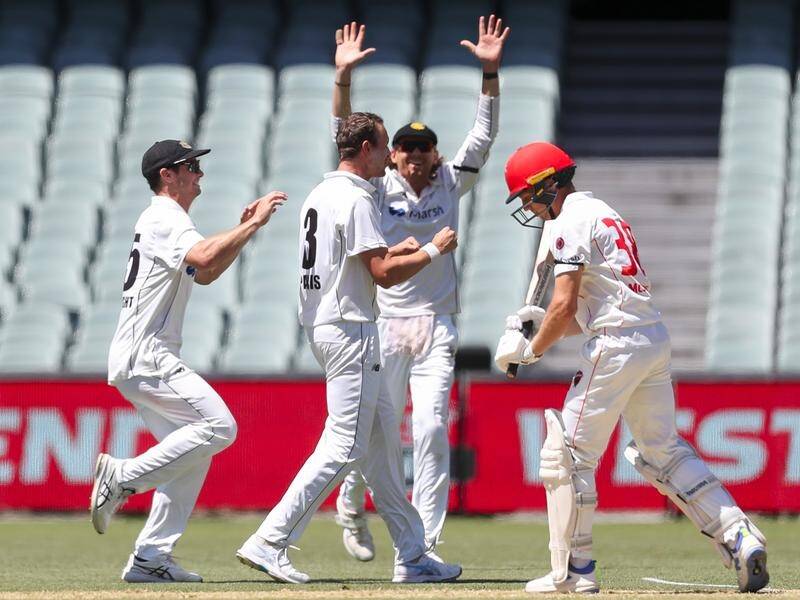 WA quick Joel Paris (centre) celebrates his fifth wicket in the Shield game against South Australia. (Matt Turner/AAP PHOTOS)