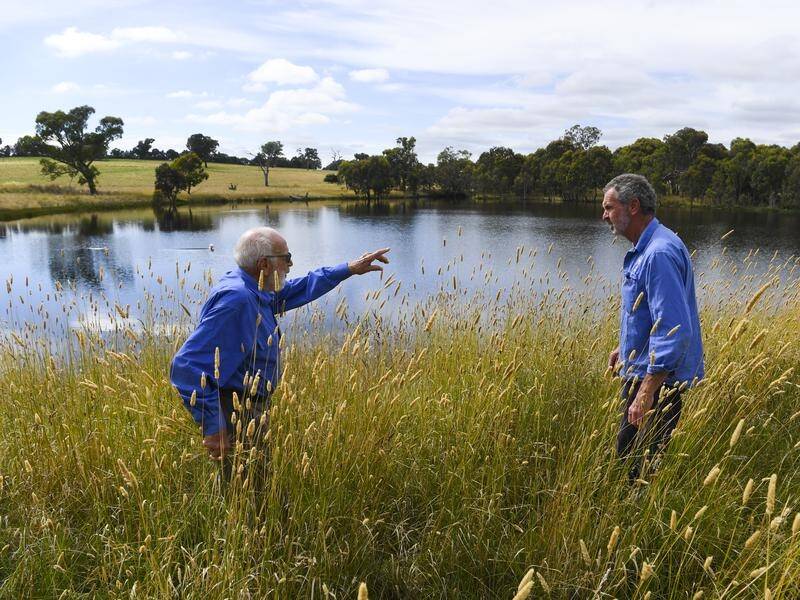 Paul Simons and son David are keen to reduce the carbon footprint of their NSW property, Euralie.