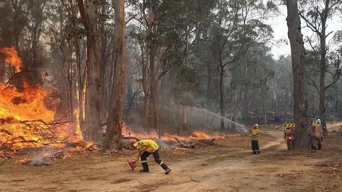  Fires in north NSW and QLD. Picture: Riverina Zone RFS