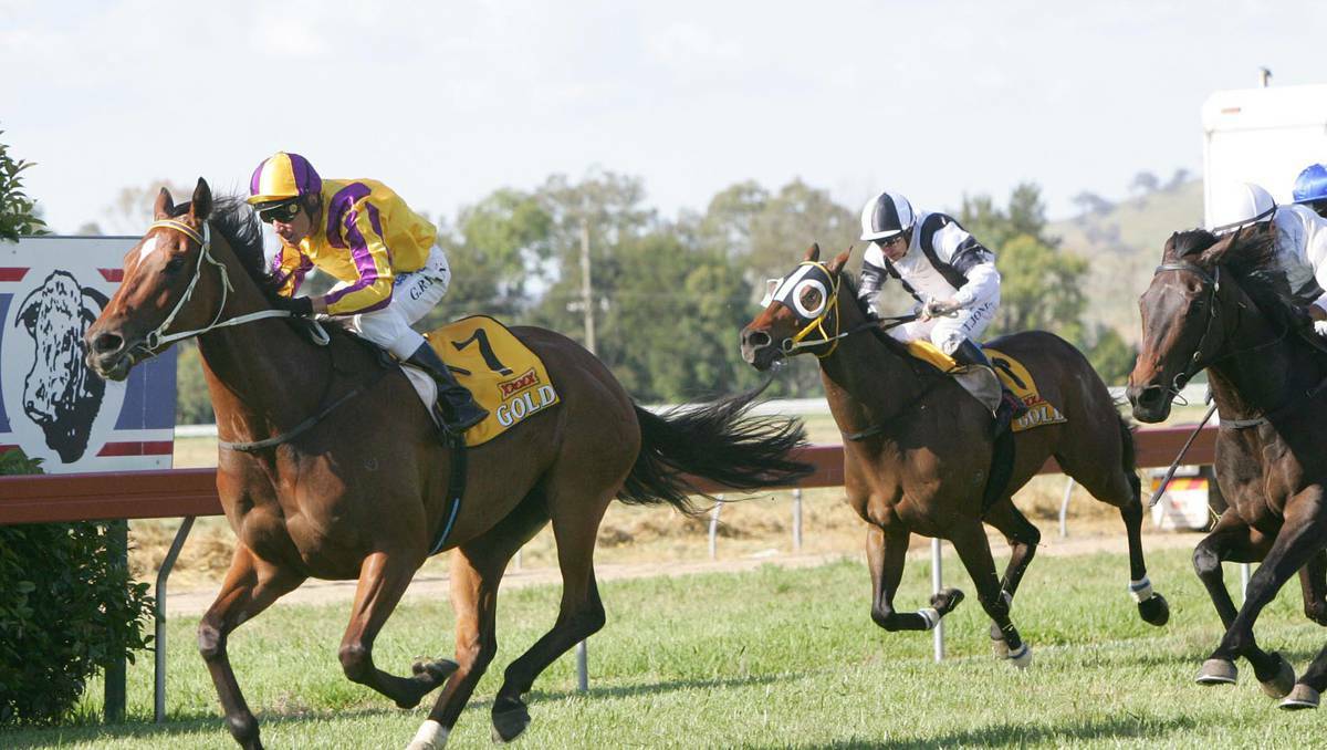 NOVEMBER: The Snake Gully Cup is a big day on the Gundagai calendar, and is followed the next day with the Hair of the Dog race day.