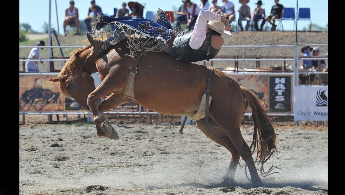 MARCH: The Wagga rodeo is always popular.