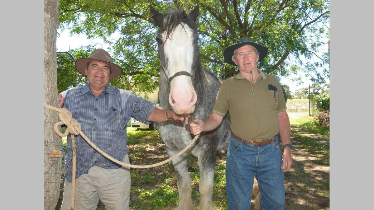 Michael Jones and Bruce Cochrane with their 14yo Clydesdale gelding. Picture: Declan Rurenga